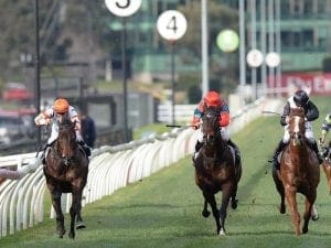 Hey Doc resumes with win in Aurie’s Star Hey Doc resumes with win in Aurie's Star