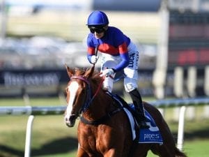 Interstate pair on song for Memsie Stakes