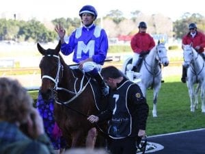 Australia's standout Group One perfomers for  2017