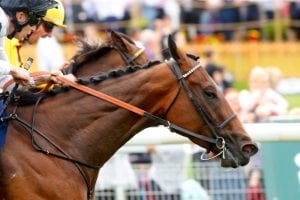 Lady Aurelia nosed out in Nunthorpe