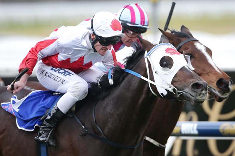 Meagher continues run for Waratah | Horse Betting