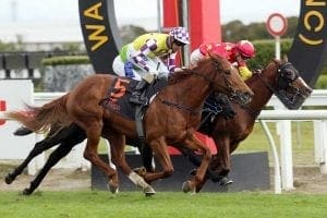 Te Rapa2 Te Rapa