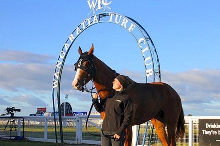 Wangaratta Turf Club receives government funding boost Horse Betting