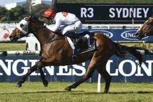 Arbeitsam Arbeitsam racehorse