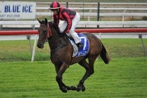 Bonnie Sare Bonnie Sare at Tamworth