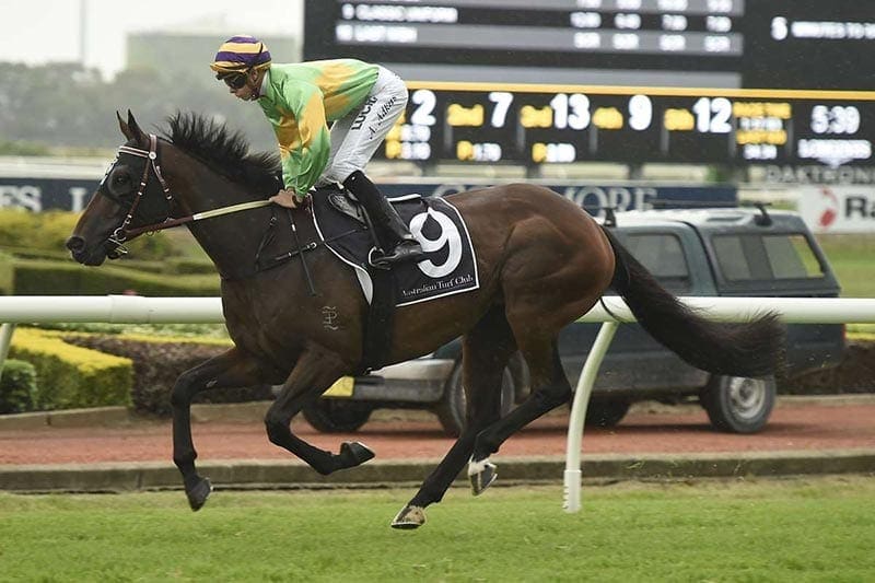 Classic Uniform wins at Rosehill Gardens