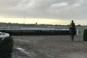 Cranbourne Training Centre Horse training centre at Cranbourne, Victoria