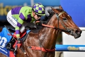 jd7235 Plenty of big race options for I Am A Star