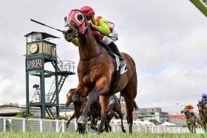 Kobayashi Kobayashi racehorse