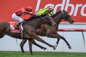 Cismontane too strong for Valley rivals