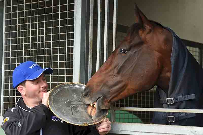 Winx with her Cox Plate