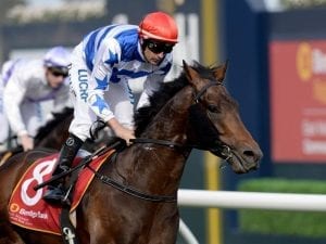 Harlem books his spot in the Caulfield Cup