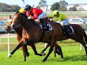 McMahon returns to metro racing spotlight McMahon returns to metro racing spotlight