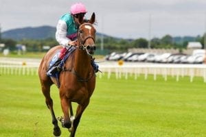 Enable ready for Arc challenge