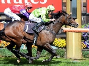 Royal Symphony wins in thrilling fashion