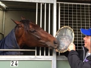 Winx heads first acceptors for Cox Plate