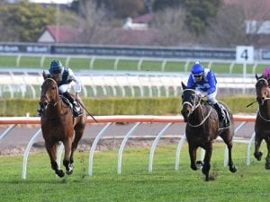 Winx aiming for No.20 in a row