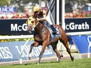 Tavago heading to JRA Cup at Moonee Valley