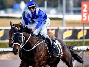 Eight rivals for Winx in George Main