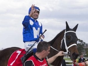 Melbourne next for super mare Winx: Waller