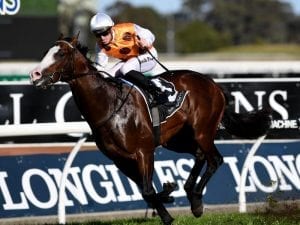 Ryan coy about Rose favourite for Everest