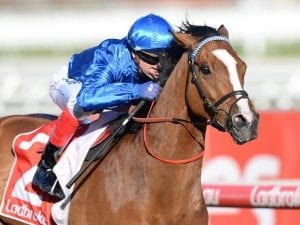 Hartnell on song for Makybe Diva Stakes