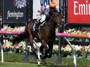 Ear muffs to help Hey Doc in G1 WFA race