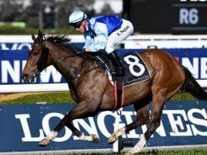 Ravi goes one better in Group 3 Sheraco Ravi goes one better in Group 3 Sheraco