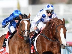 Limit suits Harmony in Sir Rupert Clarke