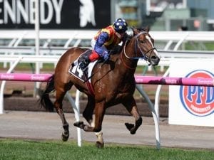 Theanswermyfriend spot-on for Caulfield G1
