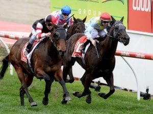 Heatherly fitter for G2 McEwen Stakes
