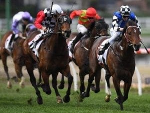Brave Smash remains in Everest contention Brave Smash remains in Everest contention
