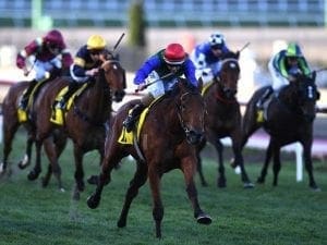 NZ mare Bonneval in winning spring return NZ mare Bonneval in winning spring return