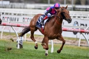 Wide draw for favourite in G1 Goodwood