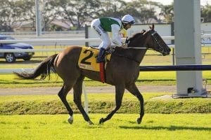 Rebel Miss wins at Newcastle