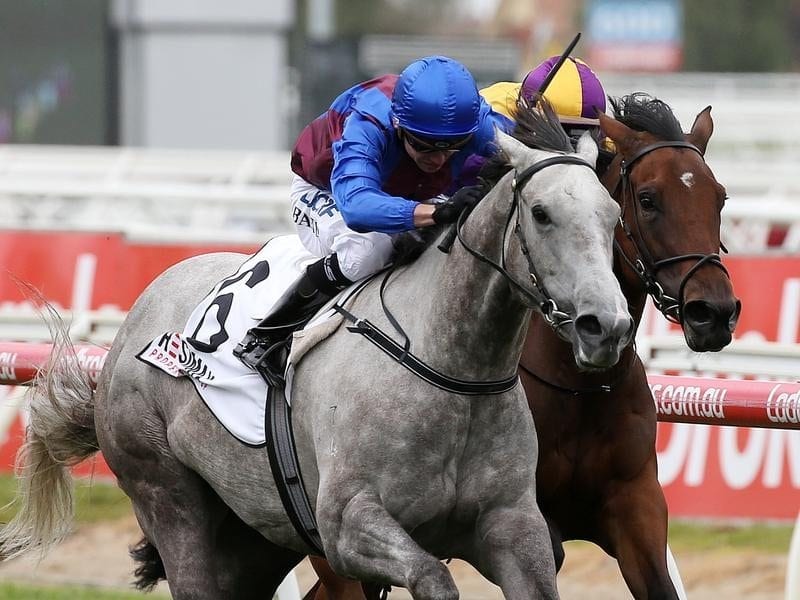Our Crown Witness wins at Caulfield.