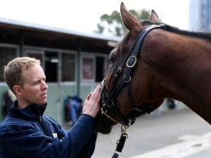 Bonneval cleared to start in Caulfield Cup