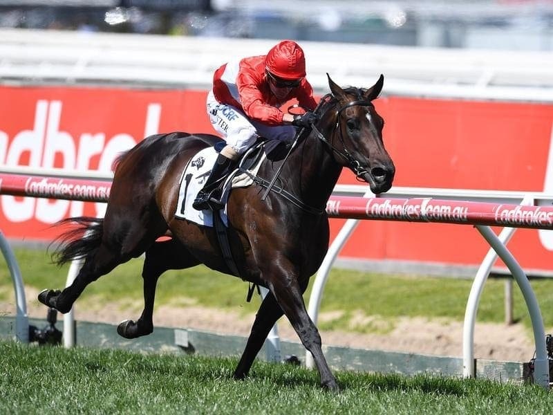 Stephen Baster rides the Gai Waterhouse trained Invincible Star