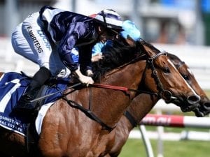Quilate pair to team up in Caulfield Cup