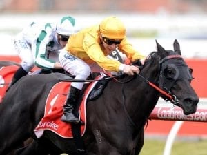 Draw no barrier for Savanna Amour