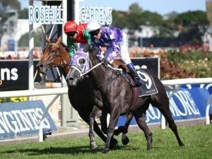 Foxplay favourite for Tristarc Stakes