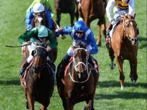 Winx claims her piece of Cox Plate history