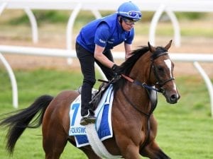 Folkswood ready for Winx in Cox Plate