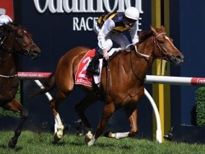 Gailo Chop in top order to tackle Winx