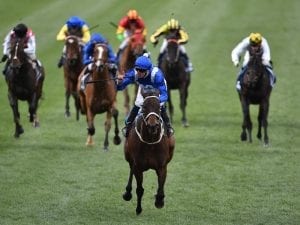 Waller focused on Winx, not Plate rivals