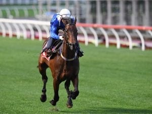 Winx attracts crowd to Moonee Valley