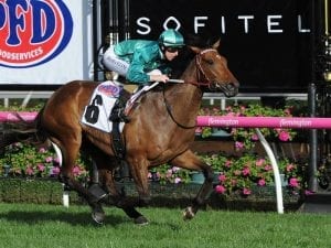 Weir to have strong hand in Caulfield Cup