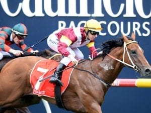 Perry plans to have two Guineas runners