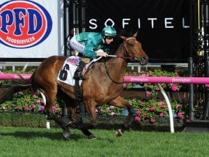 Weir to look to blinkers for Humidor