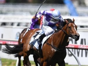 Cool Passion steps up to mile in G1 Myer